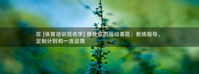 焦点娱乐app下载安装最新版：在 [体育培训班名字]