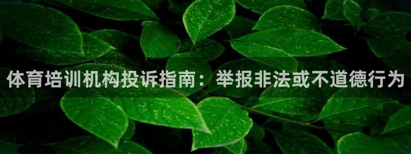 焦点娱乐如何注册账号和密码登录：体育培训机构投诉指南